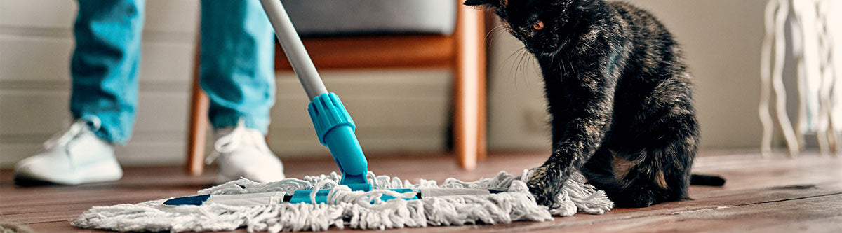 Pet-Friendly Cleaning Hacks: Keeping Your Home Spotless